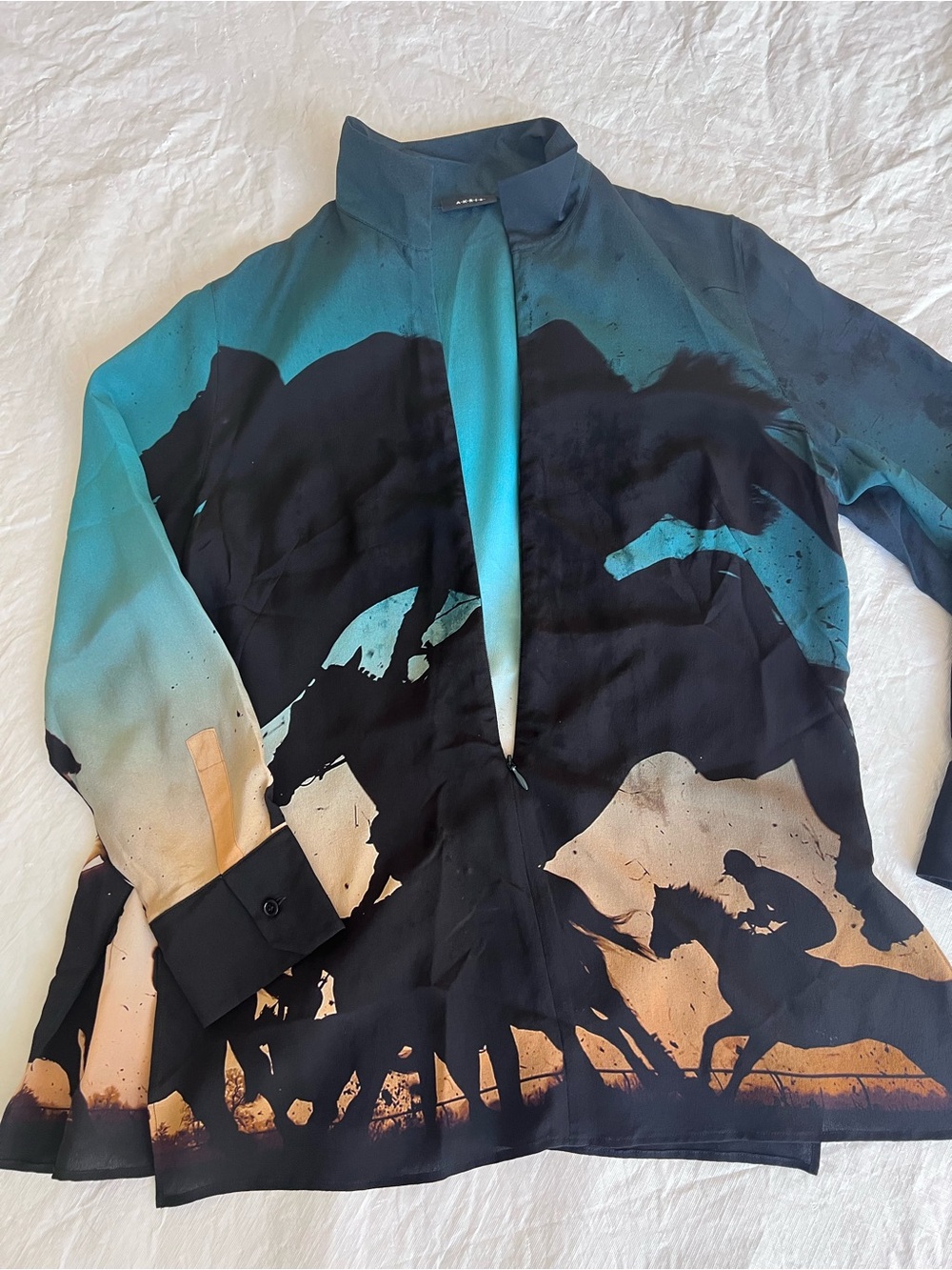 Akris Women Shirt Sz 8 Silk Crepe Tunic Hidden Zip Equestrian Horse Rider Print